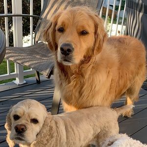 Meet your Posher, Megan